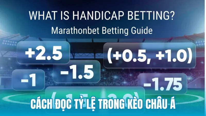 Cách đọc tỷ lệ trong cá cược thể thao kèo châu Á