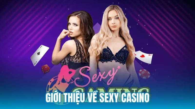 Giới thiệu về Sexy Casino và dấu ấn thị giác riêng tại 9Club